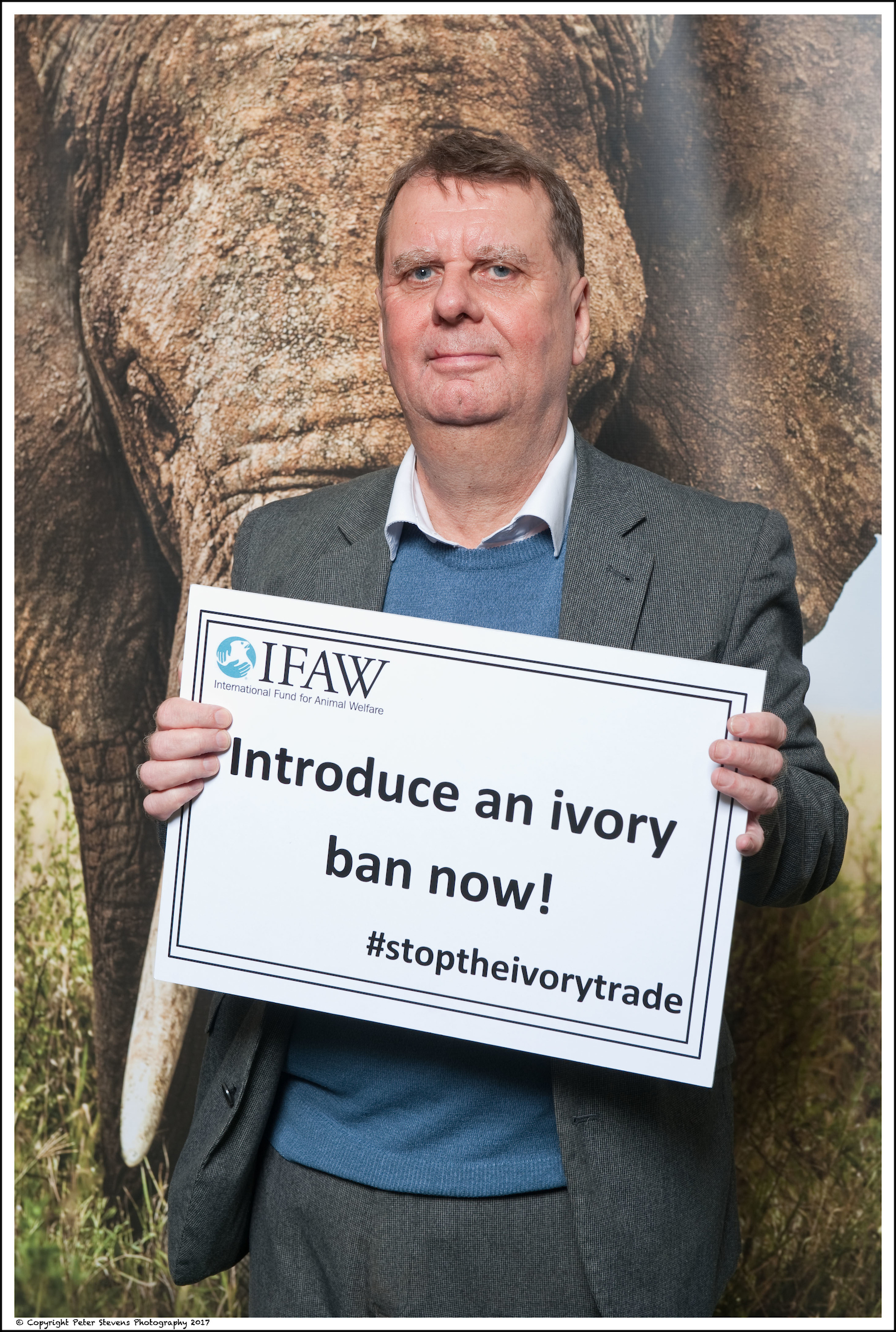 IFAW-Stop The Ivory Trade