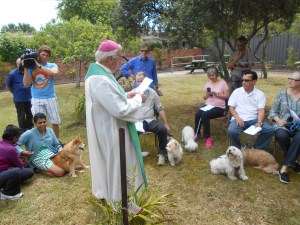 Animal blessing service