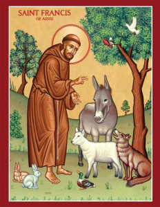 Saints Who Loved Animals Catholic Concern For Animals