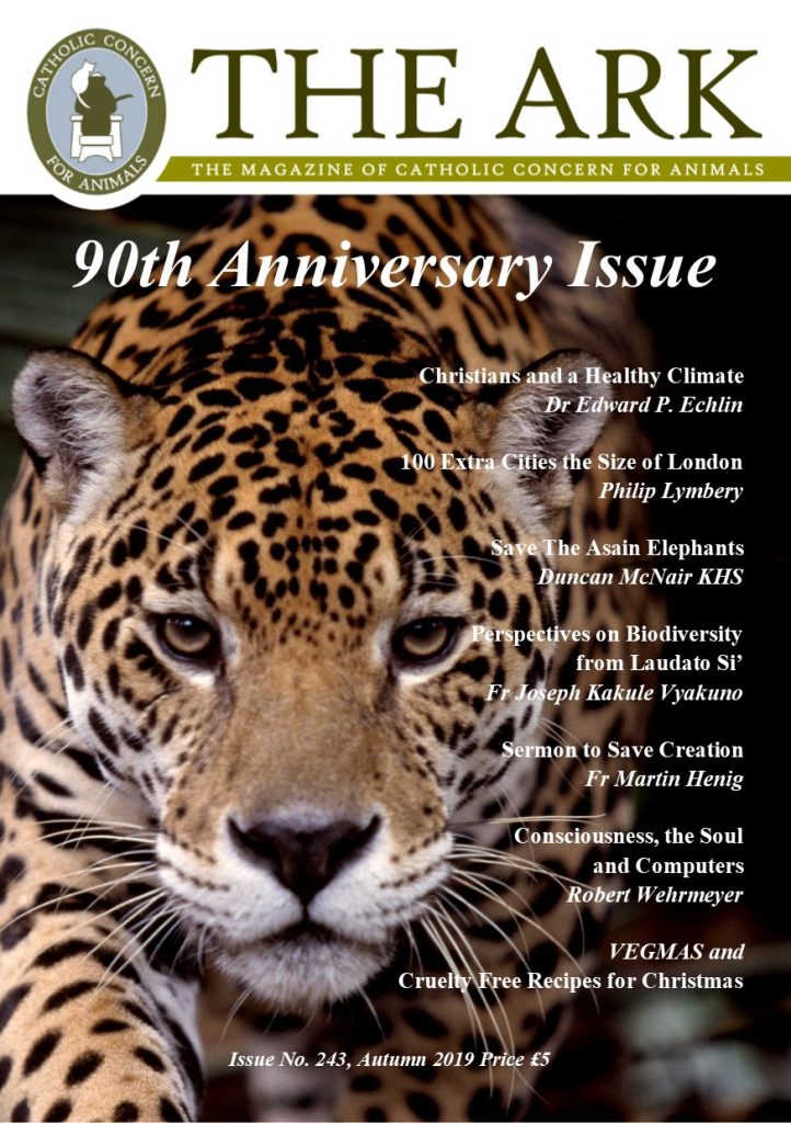 The Ark Magazine 90th Anniversary Edition
