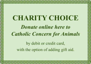 charity-choice-2